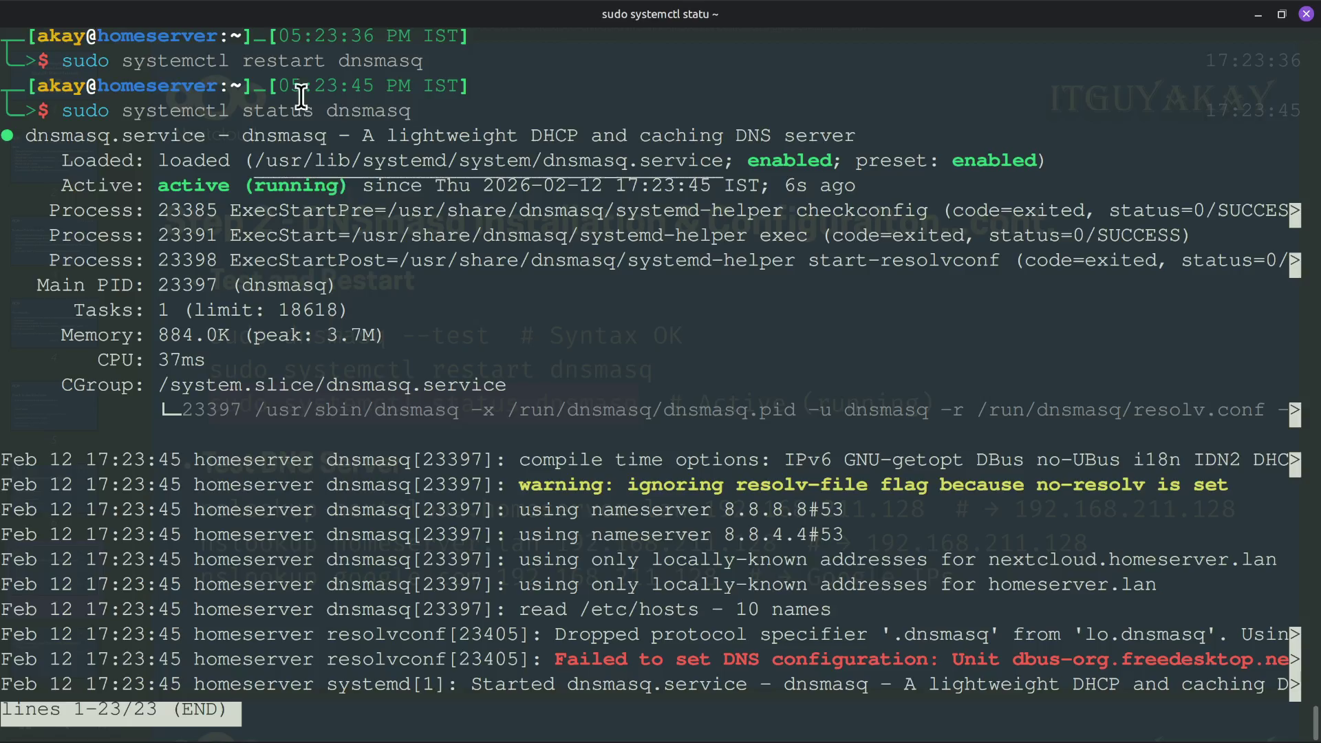 Nextcloud-AIO verifying dnsmasq service running status