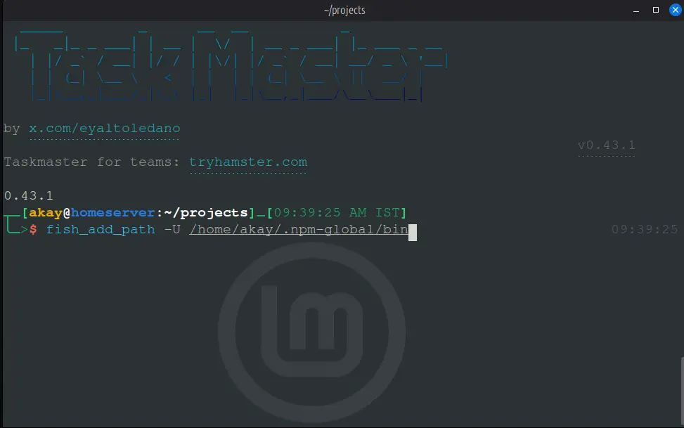 TASK-MASTER mcp fish terminal setting